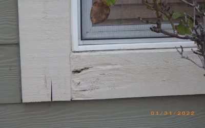 Exterior rot on a building inspection